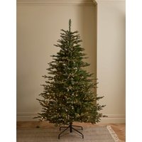 M&S 7ft Pre-lit Grand Fir Christmas Tree Green