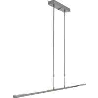 Zelena Led Integrated Pendant Ceiling Light Light Steel Brushed, Plastic Matt