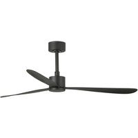 Amelia Black Ceiling Fan, 6 Speed