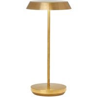 Tepa cordless, Light, Natural Brass - Andrew Martin